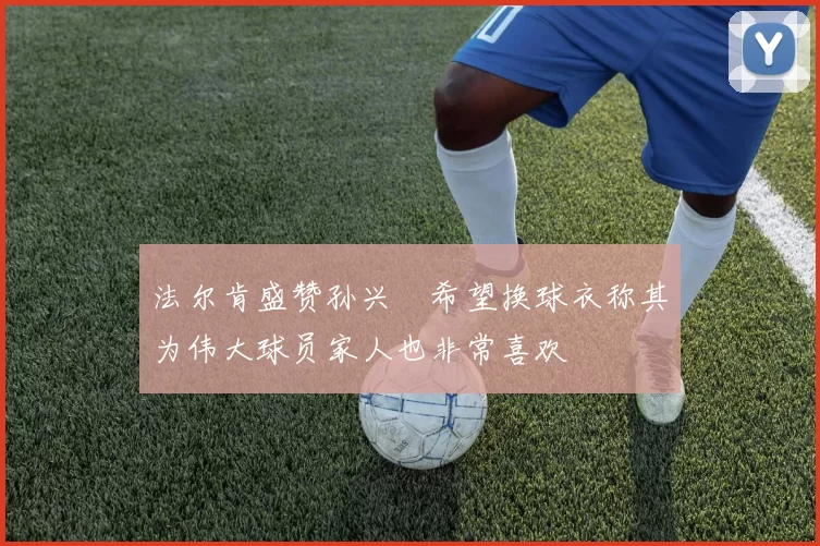 法尔肯盛赞孙兴慜希望换球衣称其为伟大球员家人也非常喜欢
