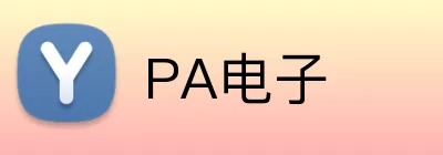 PA电子 logo